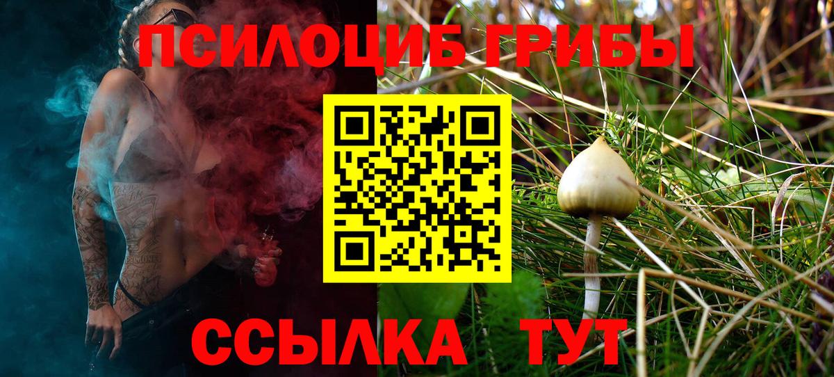 Псилоцибиновые грибы MAGIC MUSHROOMS  Вход с VPN  Кирово-Чепецк  Галлюциногенные грибы Cubensis 