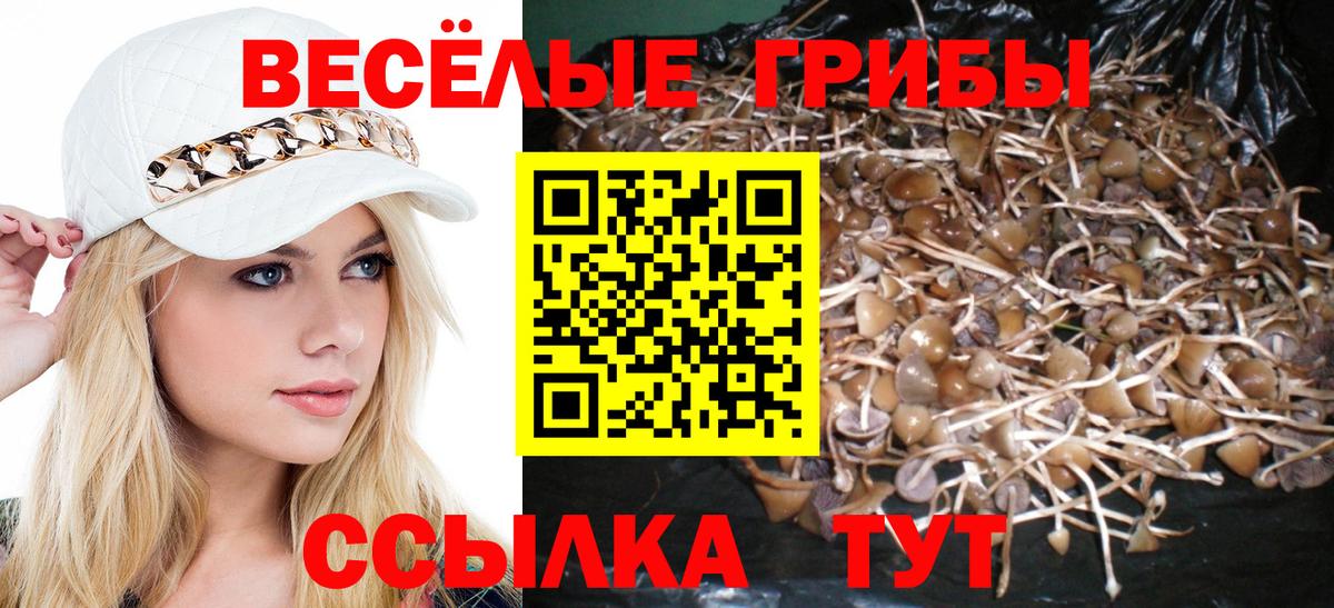 Псилоцибиновые грибы мицелий Кирово-Чепецк